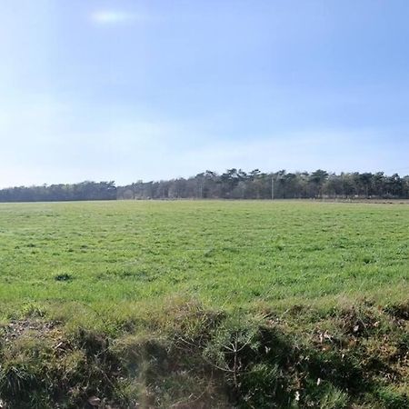Kindvriendelijke Bungalow In Het Bos Bij Zwemmeer. Vilsteren المظهر الخارجي الصورة