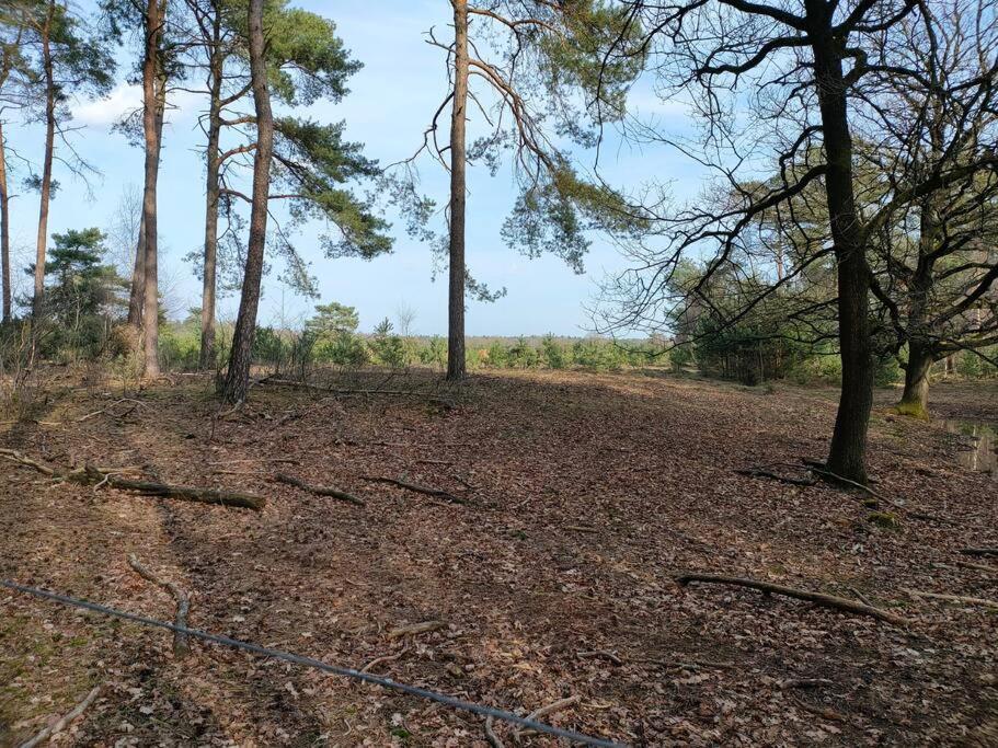 Kindvriendelijke Bungalow In Het Bos Bij Zwemmeer. Vilsteren المظهر الخارجي الصورة