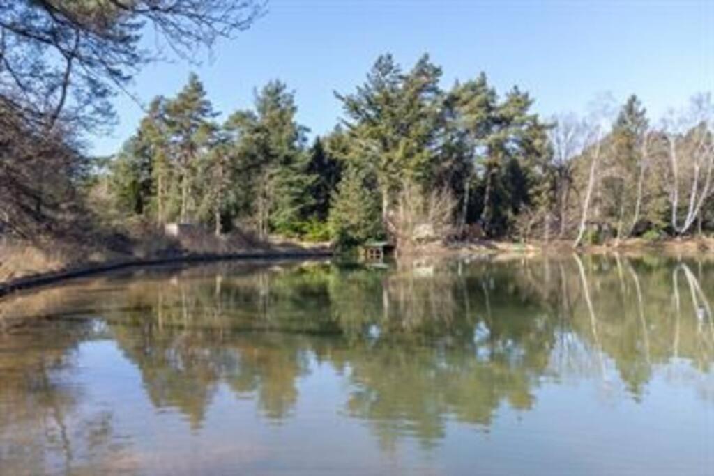 Kindvriendelijke Bungalow In Het Bos Bij Zwemmeer. Vilsteren المظهر الخارجي الصورة