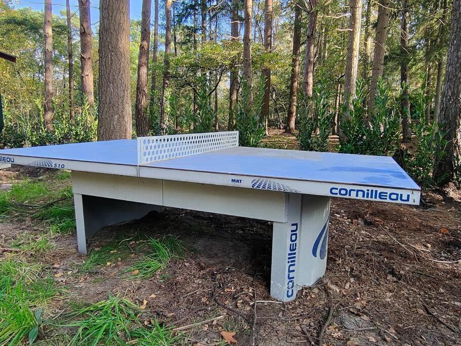 Kindvriendelijke Bungalow In Het Bos Bij Zwemmeer. Vilsteren المظهر الخارجي الصورة