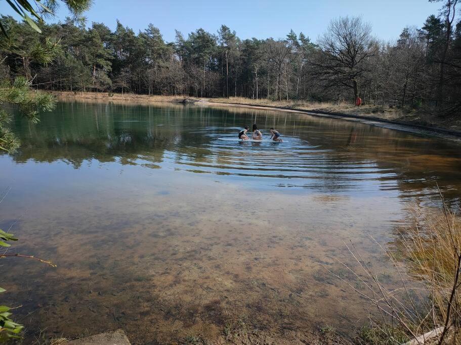 Kindvriendelijke Bungalow In Het Bos Bij Zwemmeer. Vilsteren المظهر الخارجي الصورة