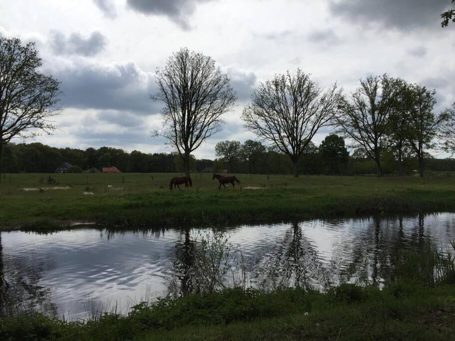 Kindvriendelijke Bungalow In Het Bos Bij Zwemmeer. Vilsteren المظهر الخارجي الصورة